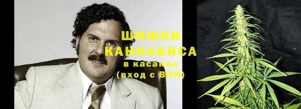 ECSTASY Алзамай