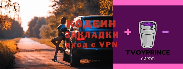 ECSTASY Алзамай