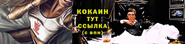 ECSTASY Алзамай
