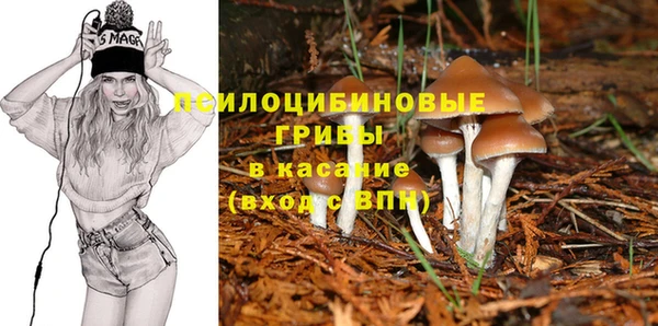 mix Алексин