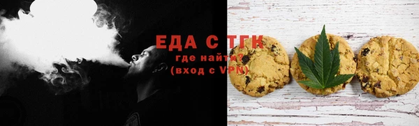 ECSTASY Алзамай