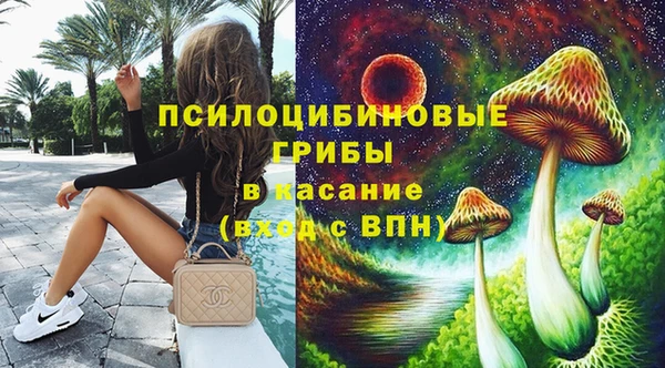 ECSTASY Алзамай