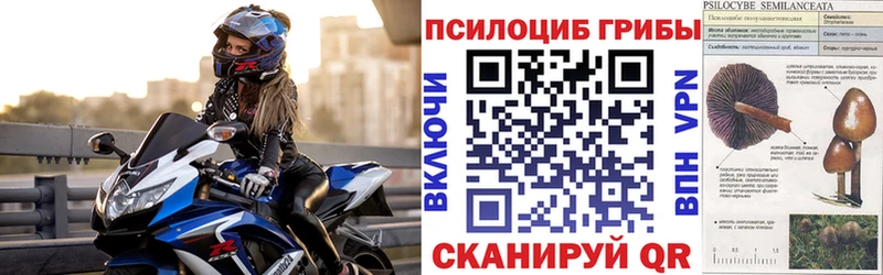 МЕГА онион  Железноводск  Псилоцибиновые грибы Psilocybine cubensis 