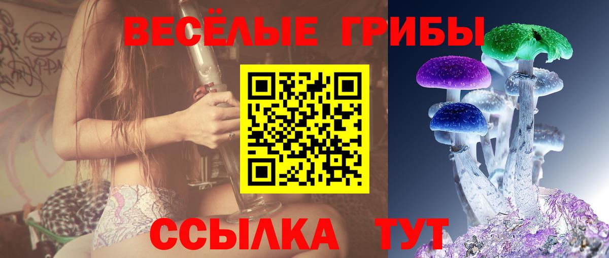 Галлюциногенные грибы мицелий  Вход с VPN  Псилоцибиновые грибы Psilocybine cubensis  Железноводск 